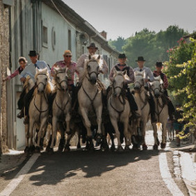 Spectacle équestre Aigues-Mortes