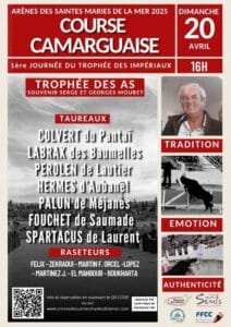 Course Camarguaise, Arènes Saintes Maries de la Mer 2025, Dimanche 20 Avril, 16H. Trophée des As, Taureaux et raseteurs. Tradition, Emotion, Authenticité.