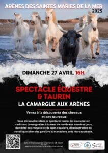 Spectacle Camargue aux Arènes Saintes Maries de la Mer, Dimanche 27 Avril 16h. Chevaux blancs et taureau noir courant dans l'eau.
