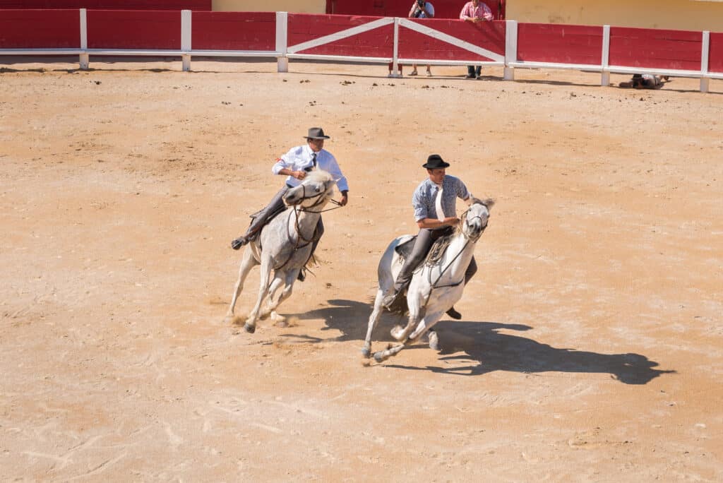 Deux cavaliers en chapeau montent des chevaux blancs au galop dans une arène de sable devant une barrière rouge avec des spectateurs.